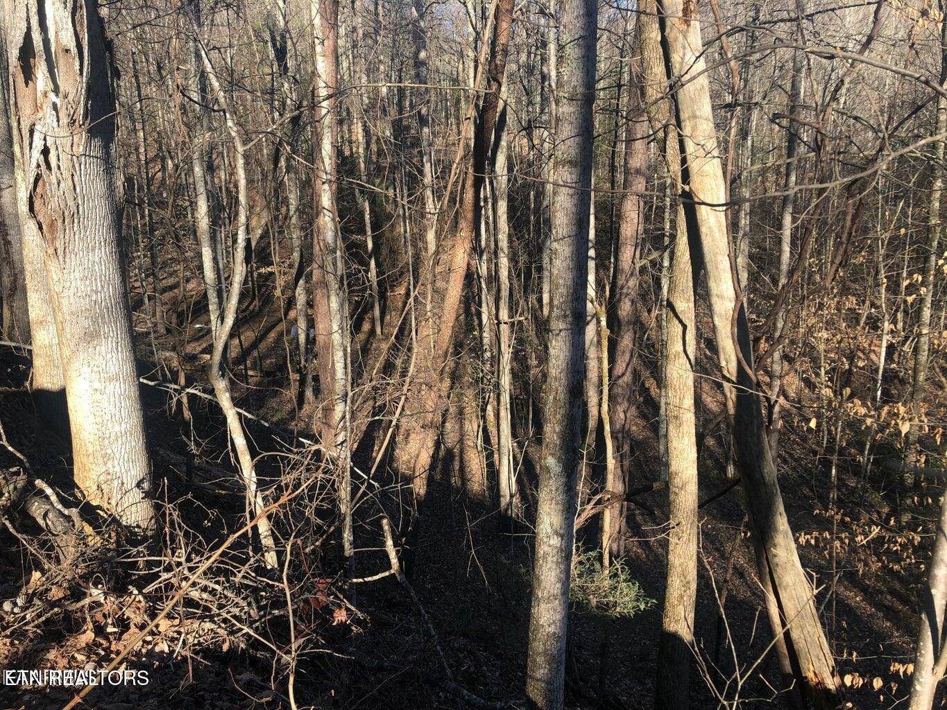 Sevierville, TN 37876,Lot 68 Yellowwood DR