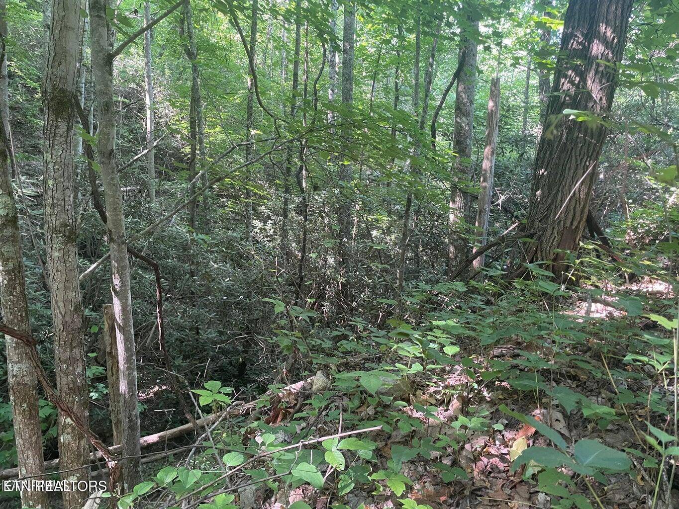 Sevierville, TN 37876,Lot 1 Sycamore St