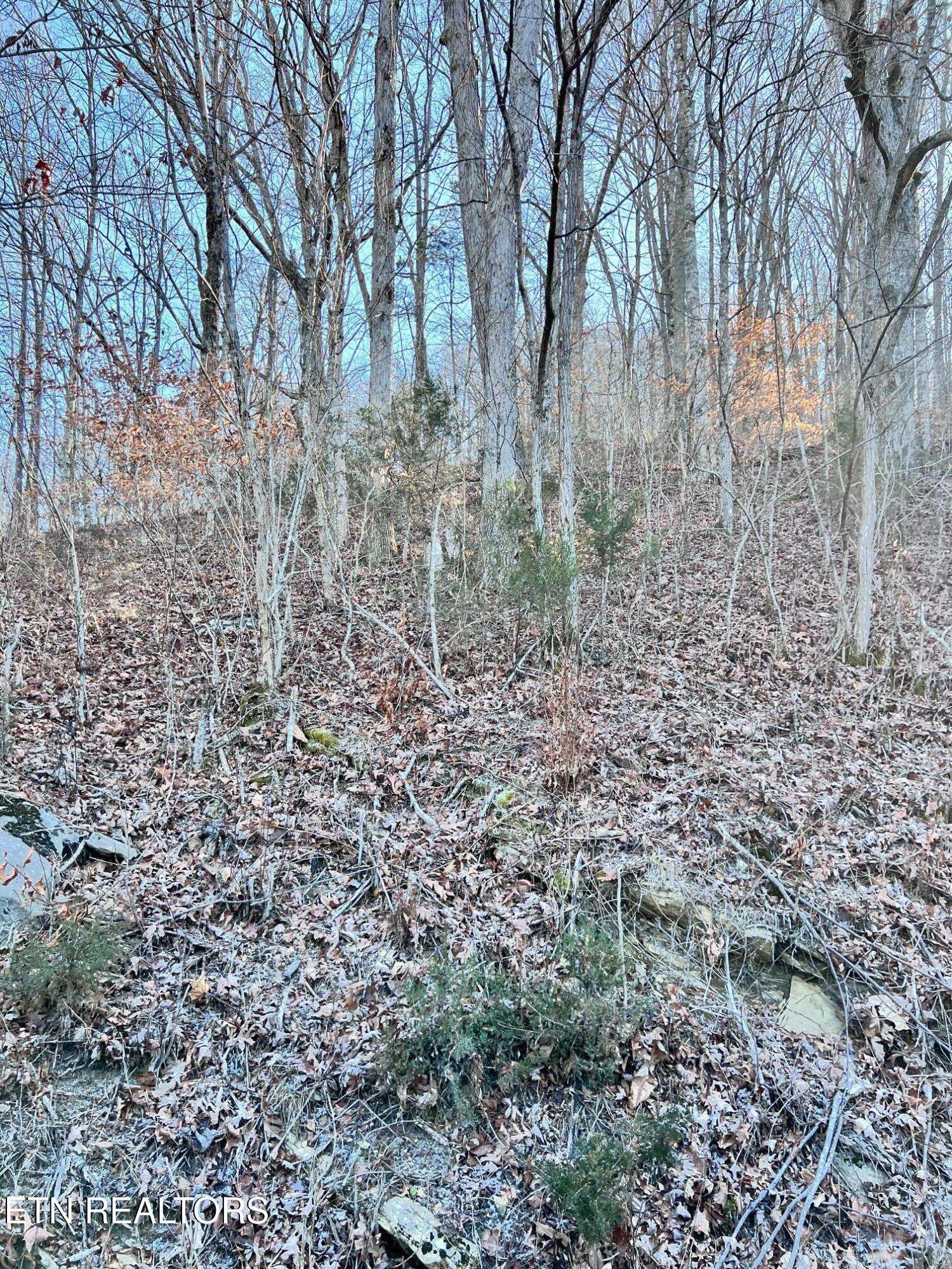 Tazewell, TN 37879,Tract 7 Bundren Mountain Rd