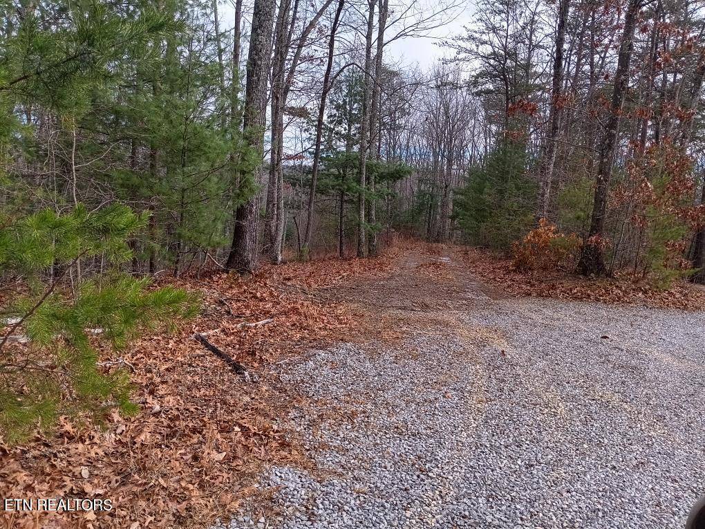 Tellico Plains, TN 37385,688 Old Furnace Rd