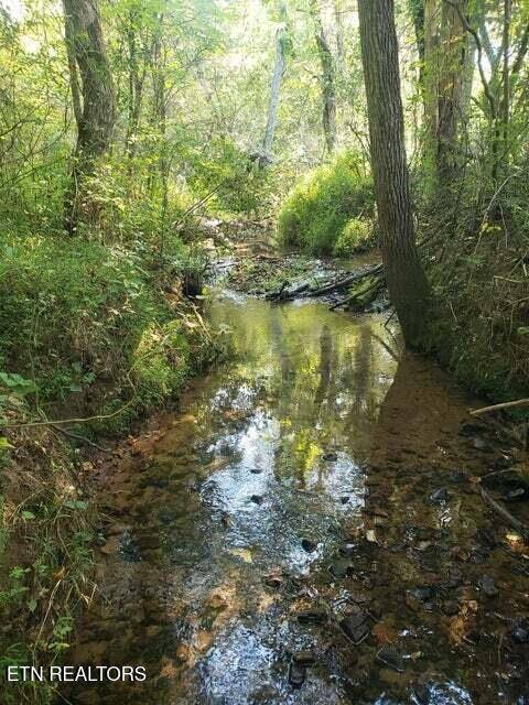 Tellico Plains, TN 37385,4.57 Acres Reliance Road