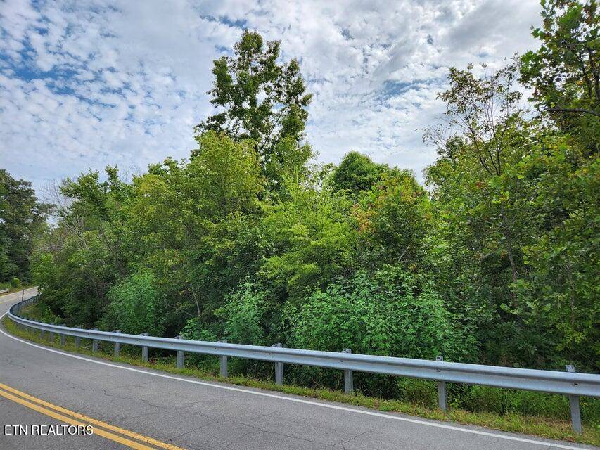 Tellico Plains, TN 37385,4.57 Acres Reliance Road