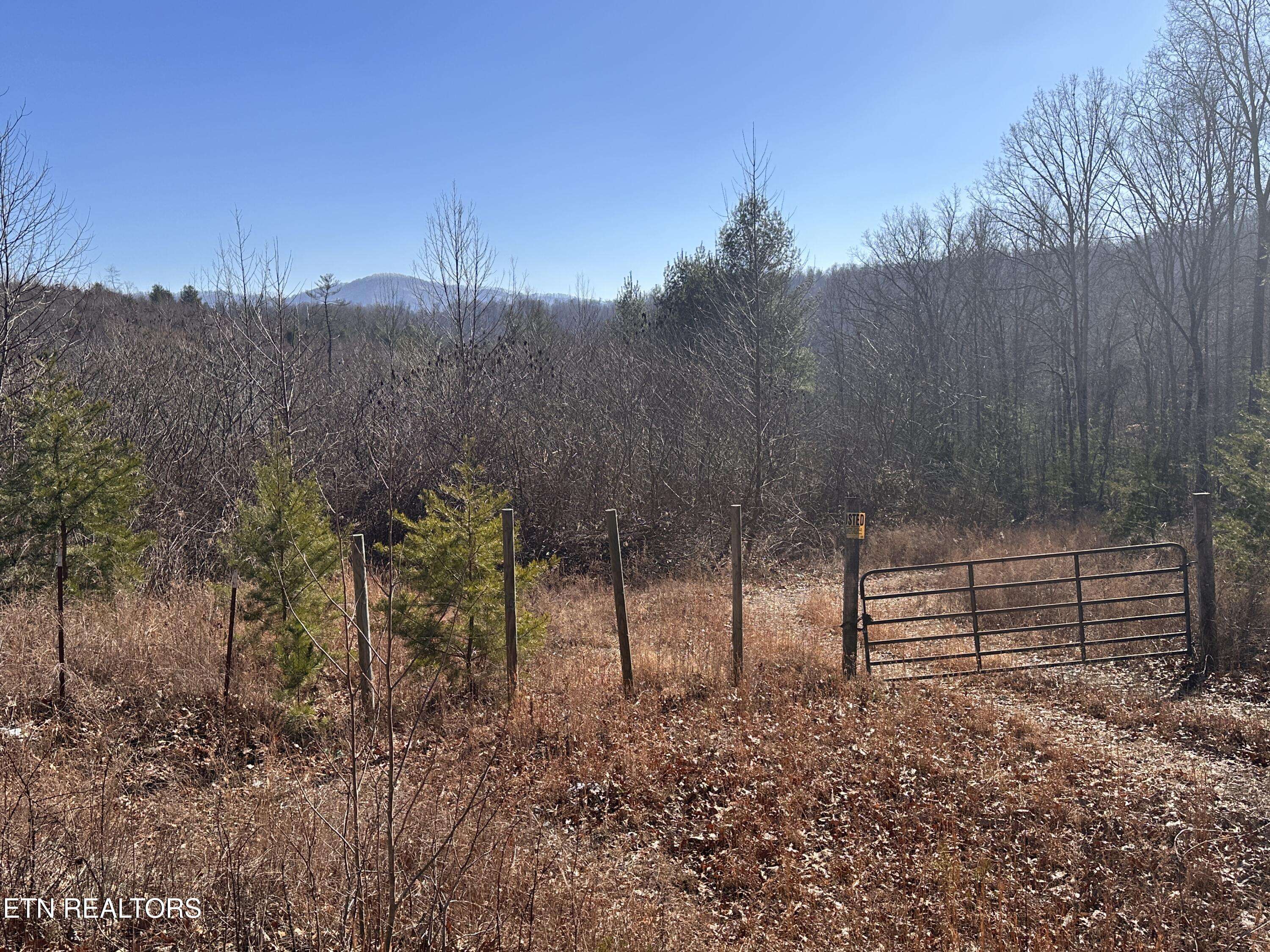 Sunbright, TN 37872,162.45ac Mill Creek Rd