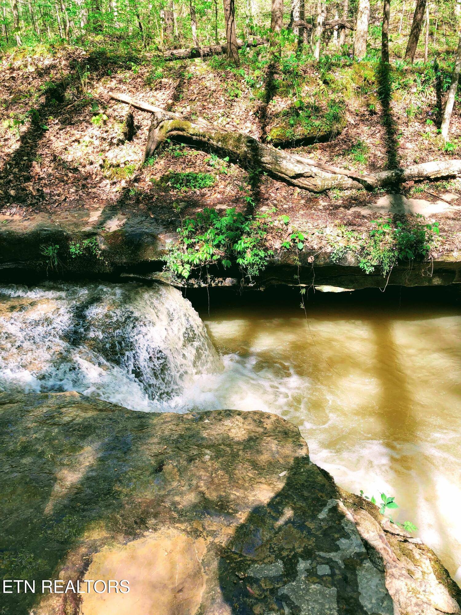 Robbins, TN 37852,5640 Brimstone Rd