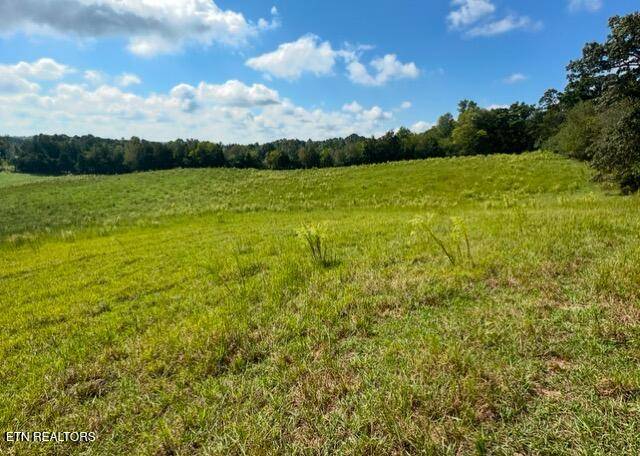 Riceville, TN 37370,0 Co Rd 130