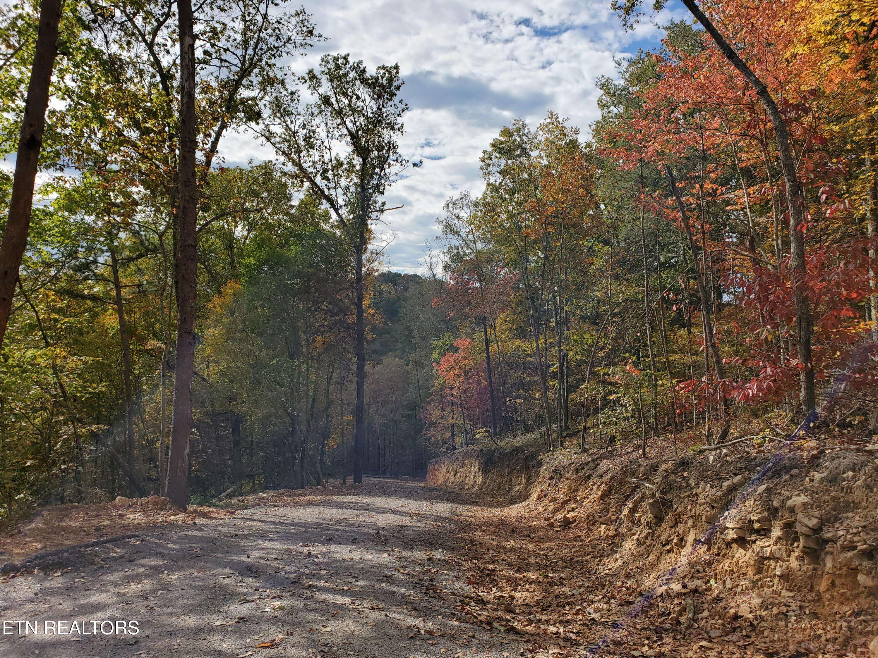 Rutledge, TN 37861,Poor Valley