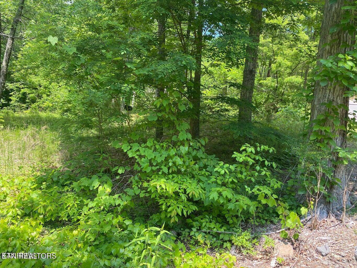 Sevierville, TN 37876,Lot 61 High St