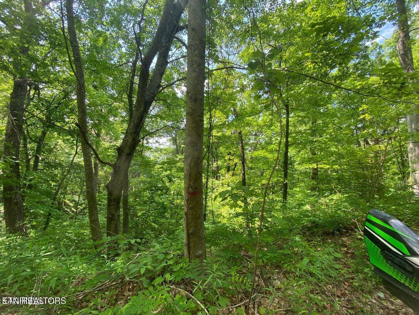 Sevierville, TN 37876,Lot 61 High St