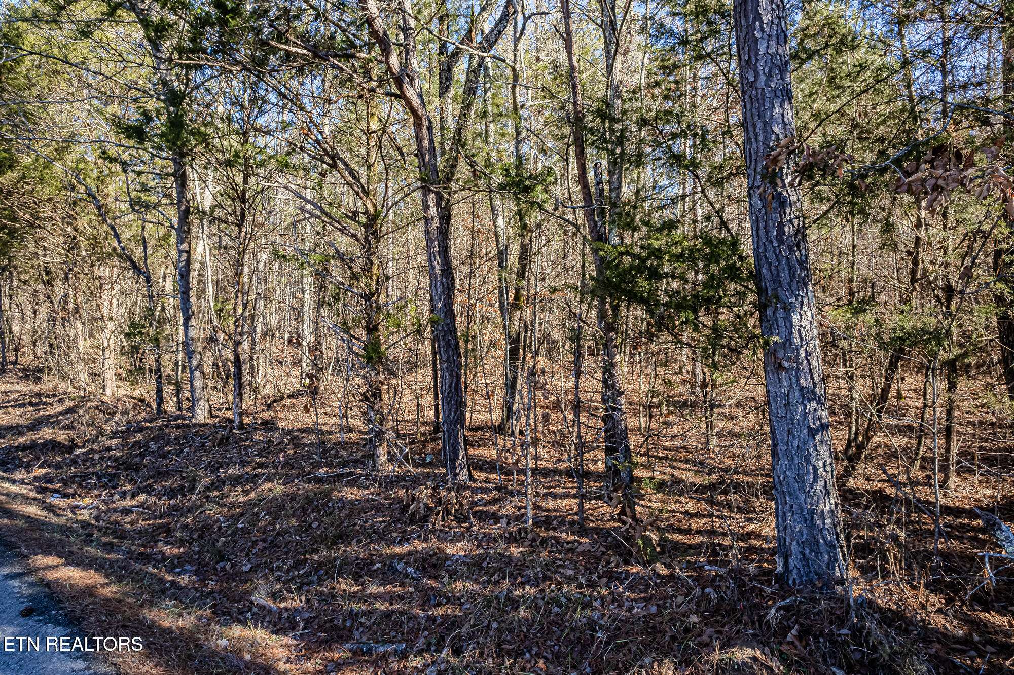 Decatur, TN 37322,5 acres Nopone Valley Rd