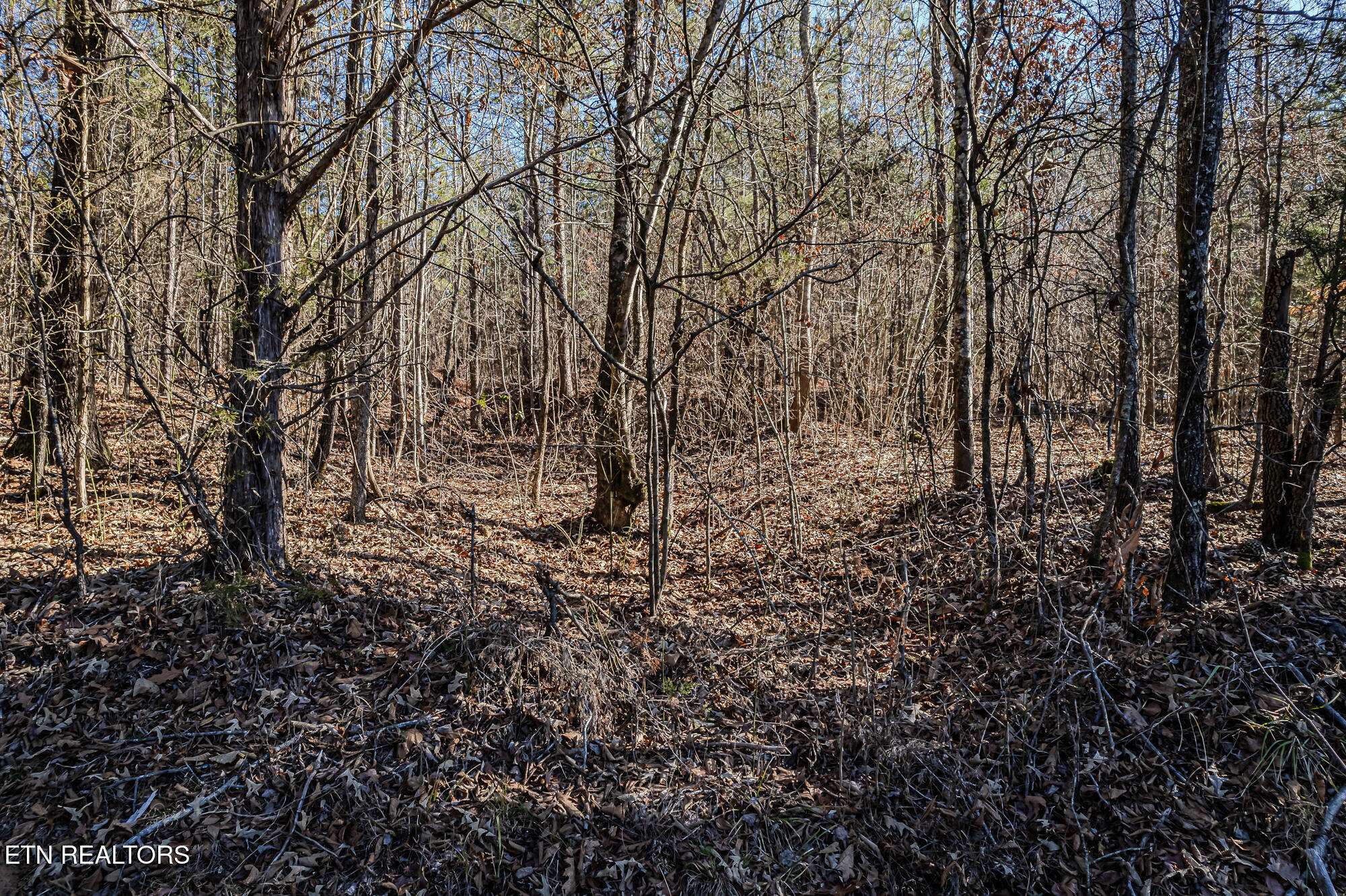 Decatur, TN 37322,5 acres Nopone Valley Rd