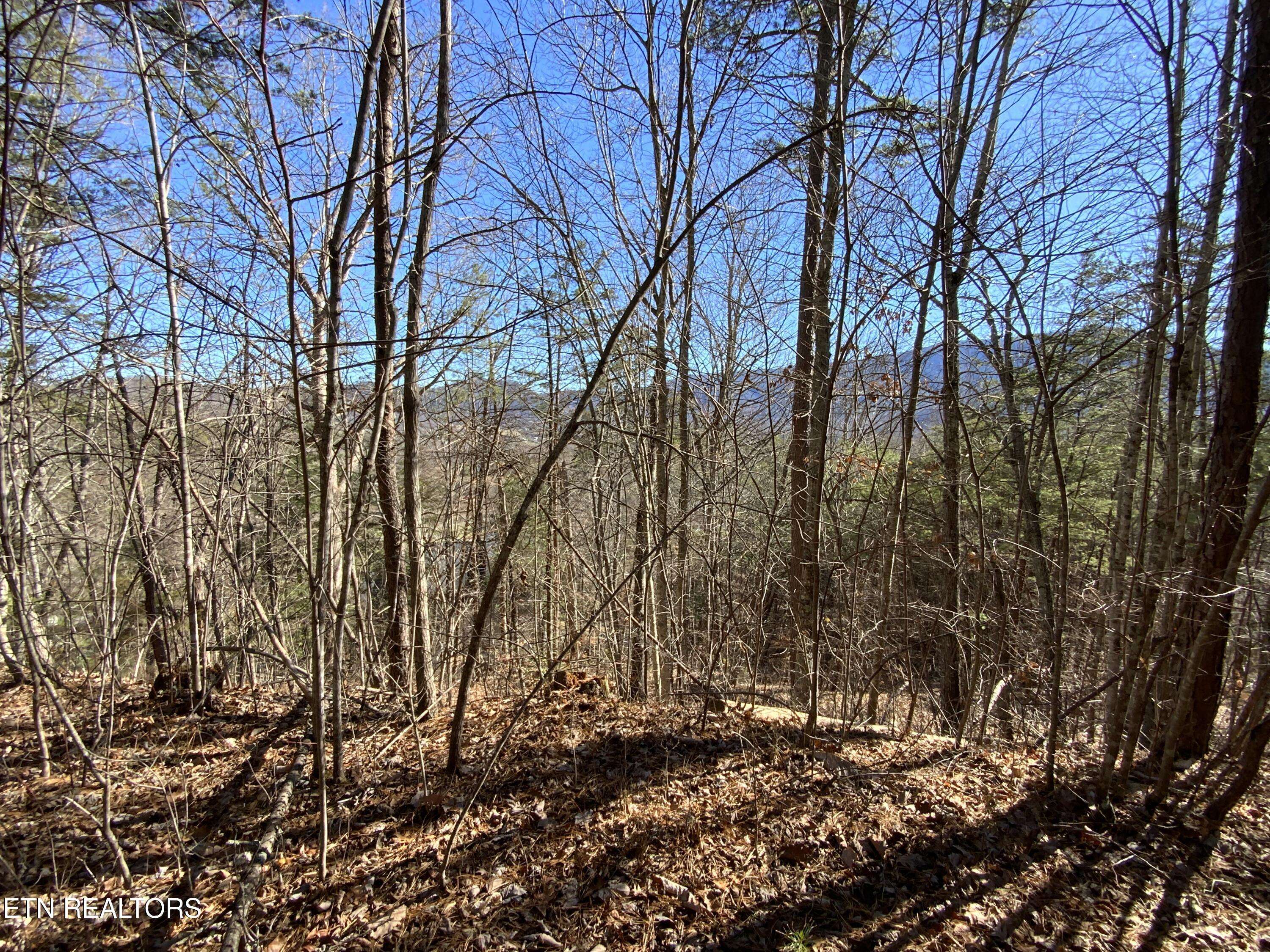 Sevierville, TN 37862,Lot 7-R Hatcher Mountain Rd