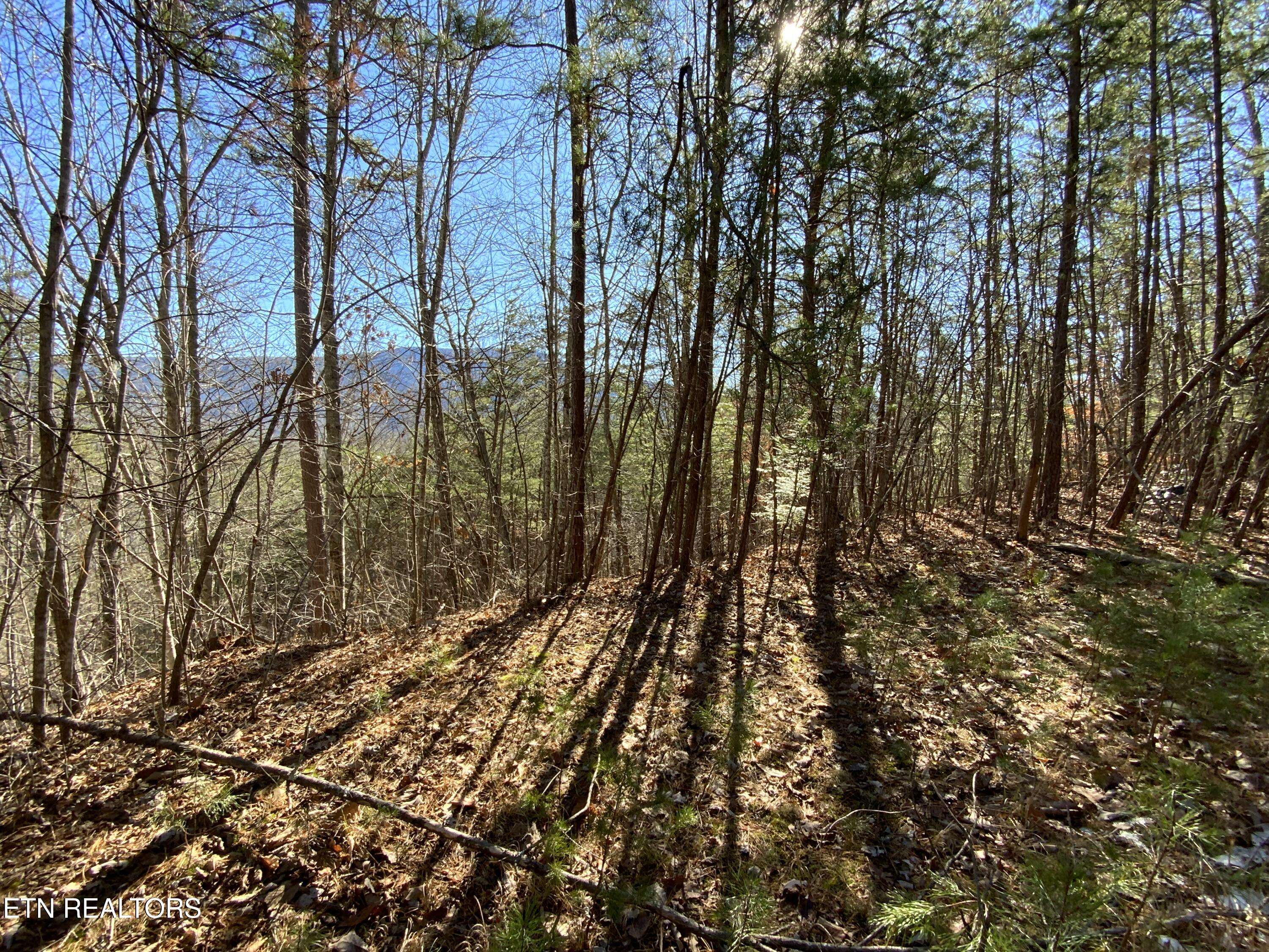 Sevierville, TN 37862,Lot 7-R Hatcher Mountain Rd