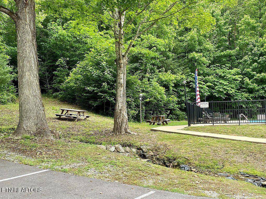 Sevierville, TN 37862,Black Walnut Flats Rd