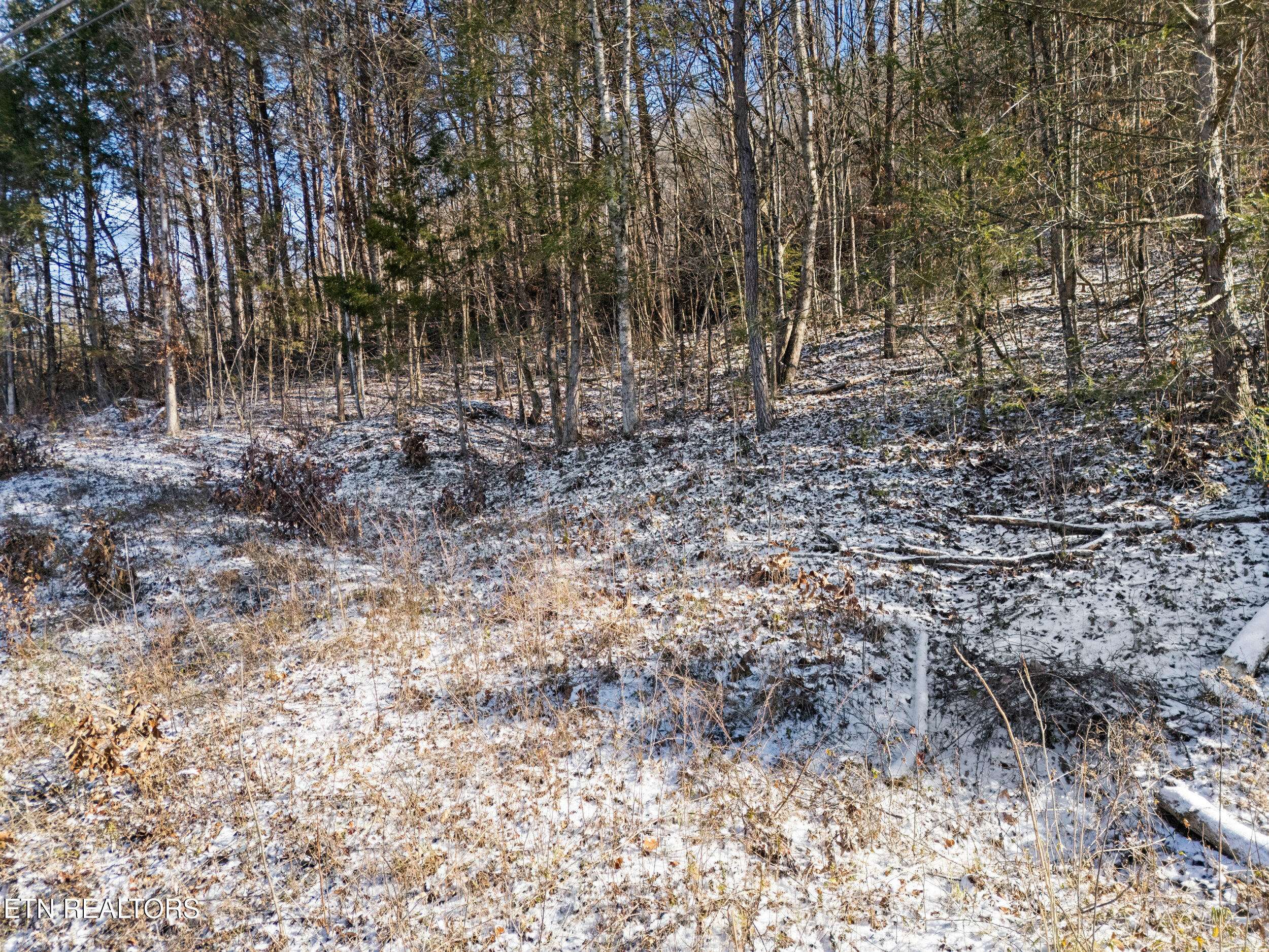 Powell, TN 37849,304 Brushy Valley DR