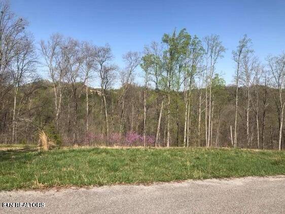 Lafollette, TN 37766,Pinnacle LN