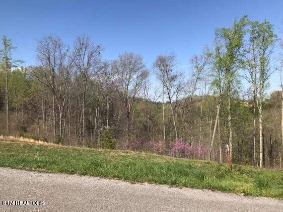 Lafollette, TN 37766,Pinnacle LN