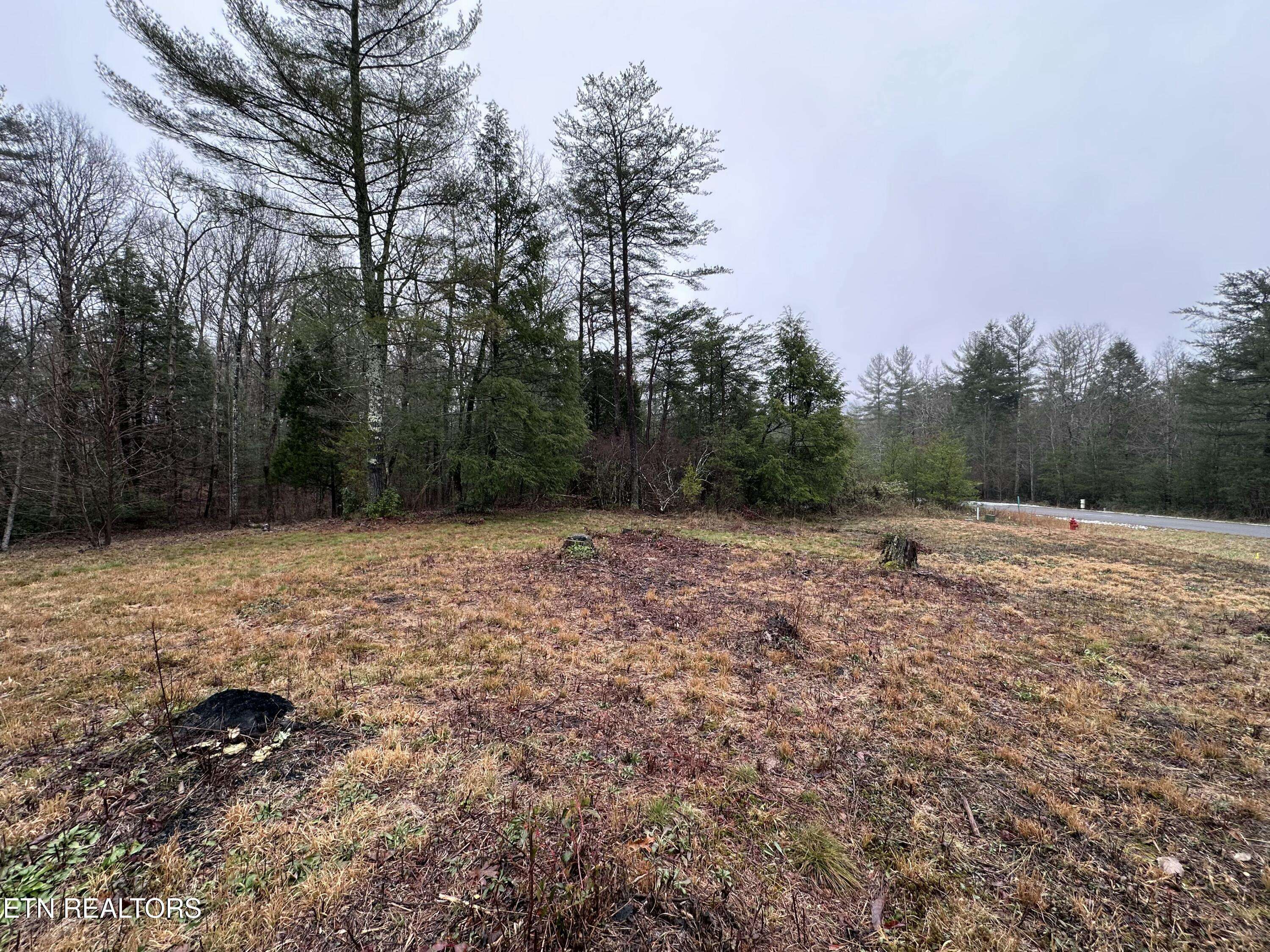 Crossville, TN 38555,Lot 122 Noah LN