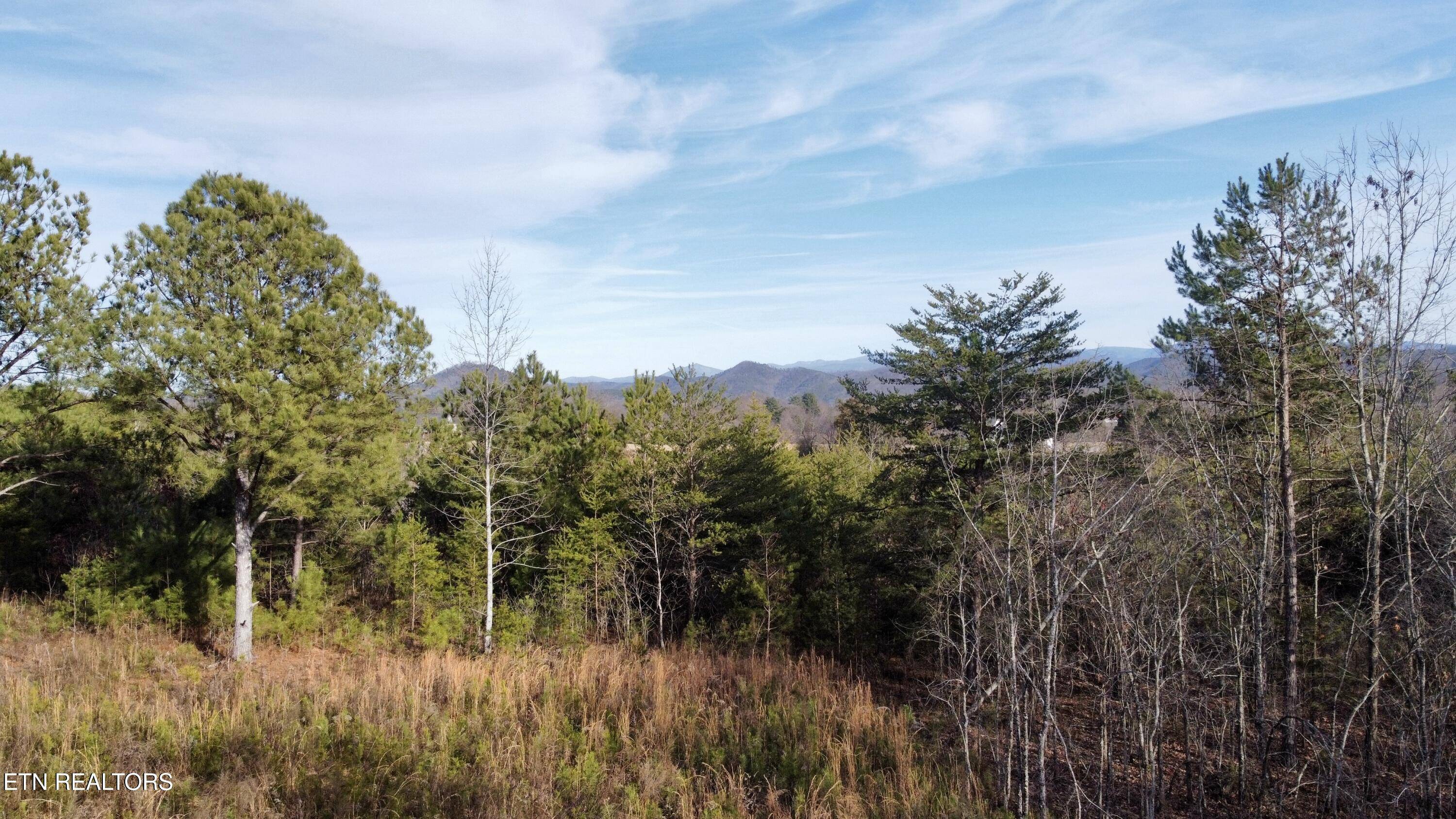 Tellico Plains, TN 37385,0 Curtis Rd