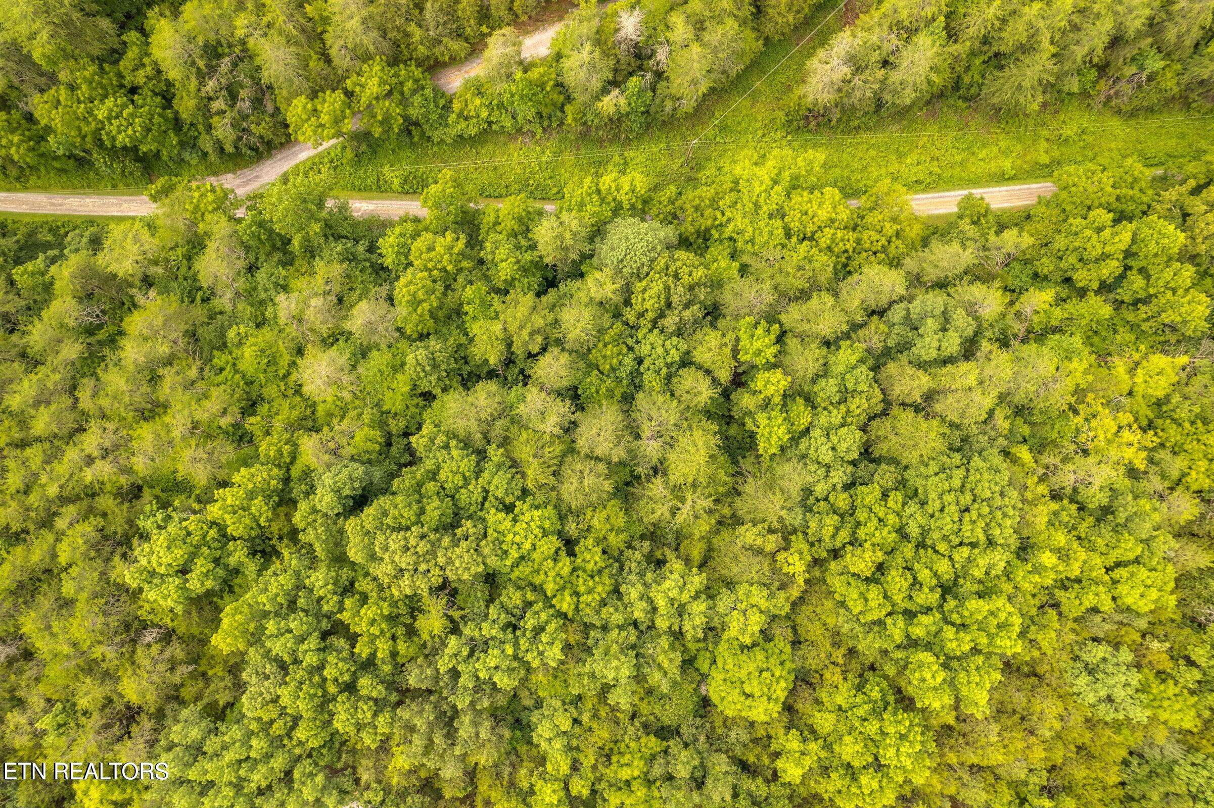 Sevierville, TN 37876,Moon Hollow Rd