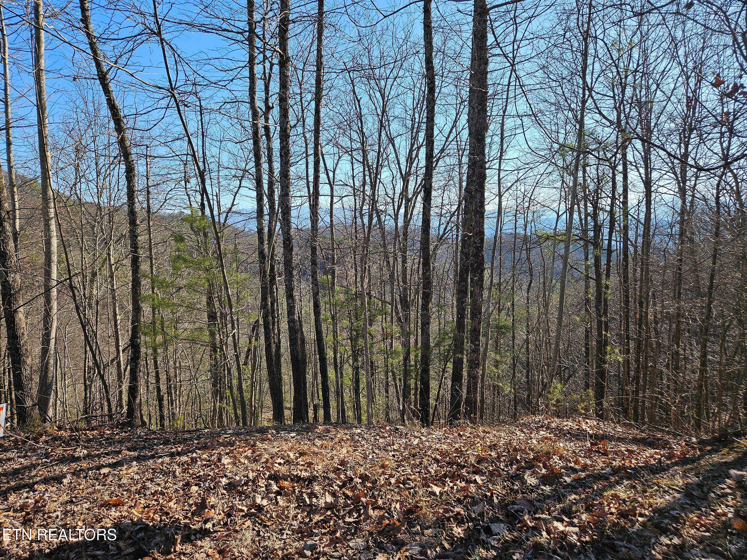 Sevierville, TN 37876,Alpine Dr. DR
