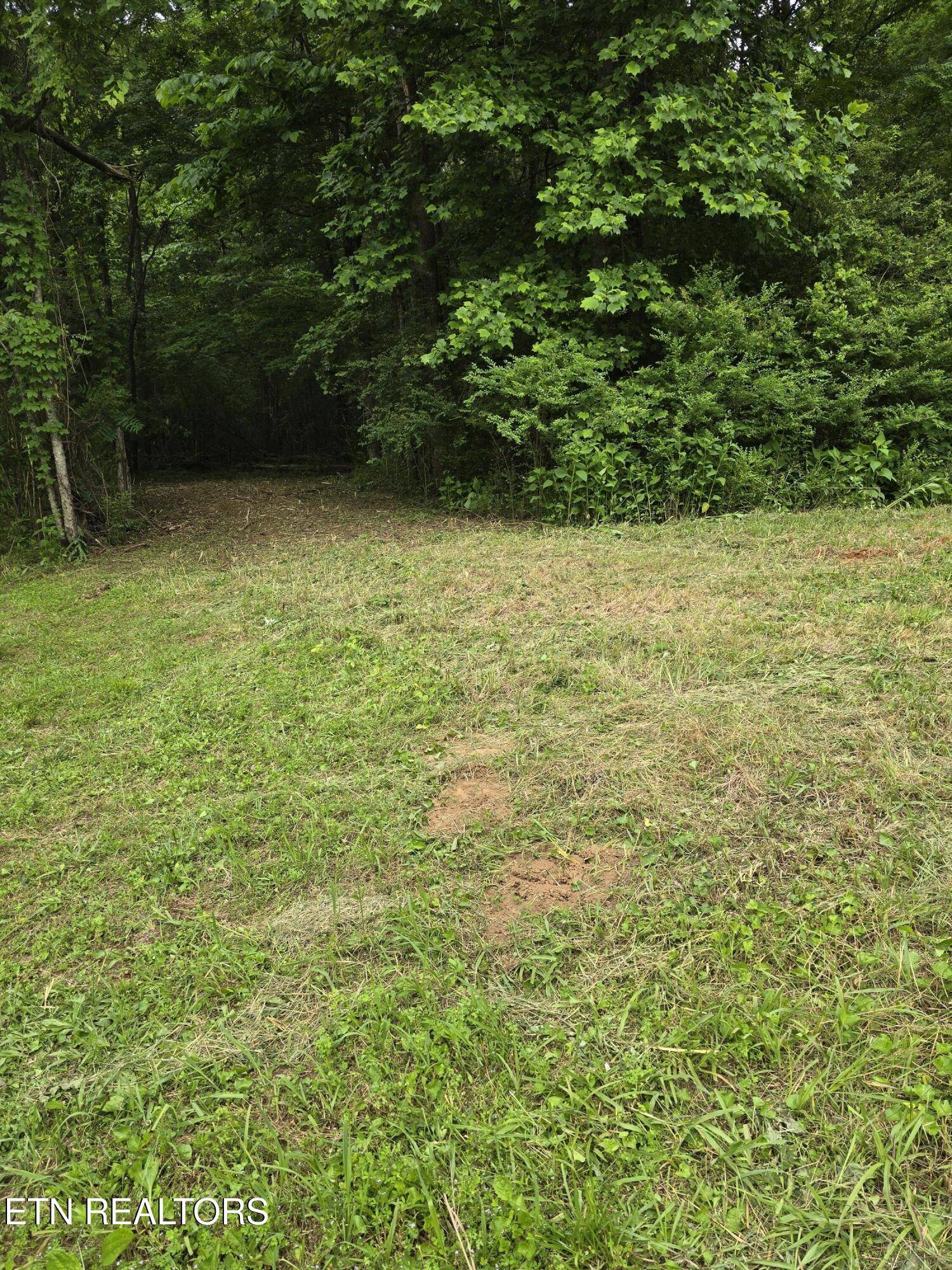 Friendsville, TN 37737,Miser School Rd