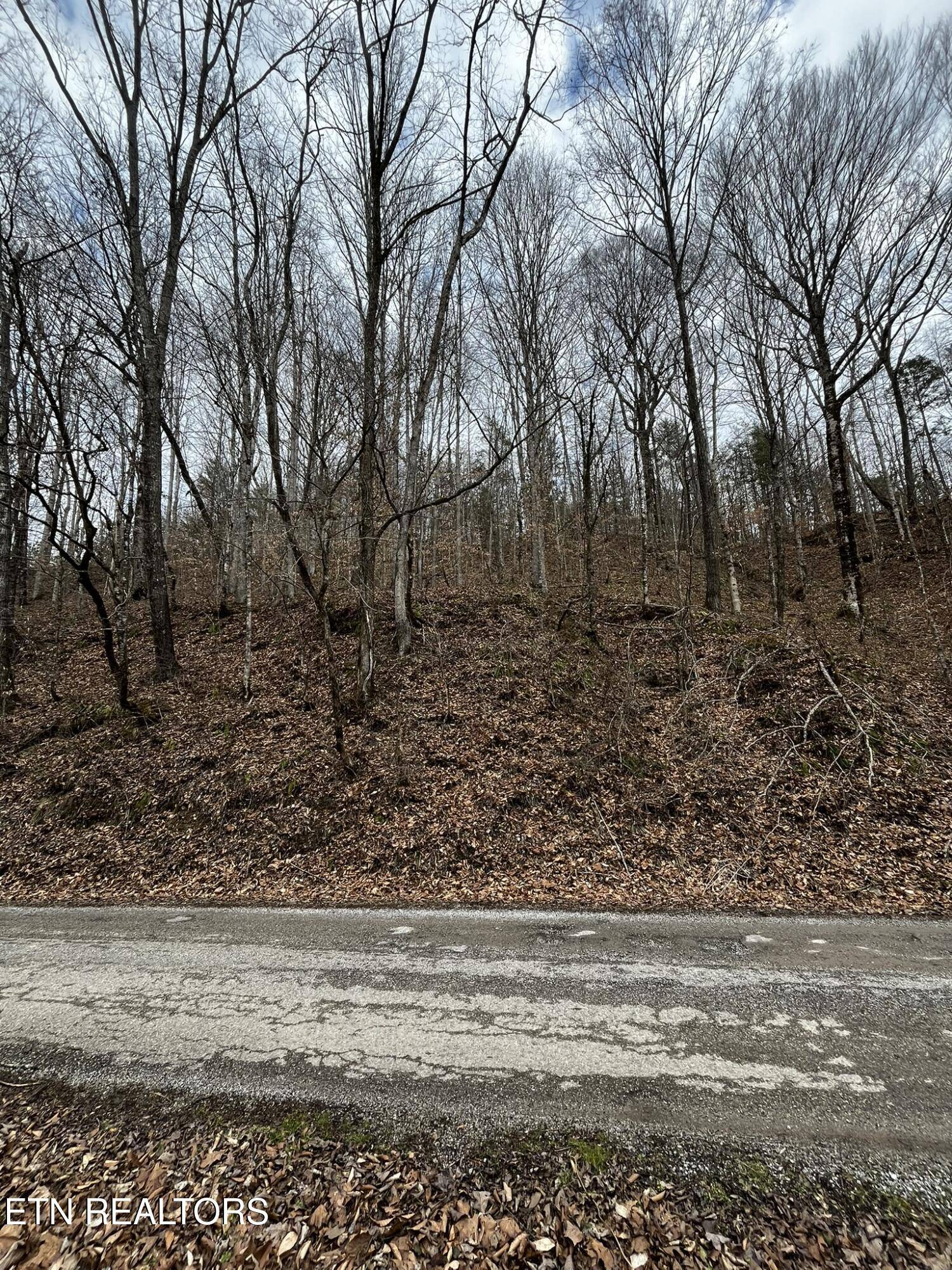 Oneida, TN 37841,0 Paint Rock Creek