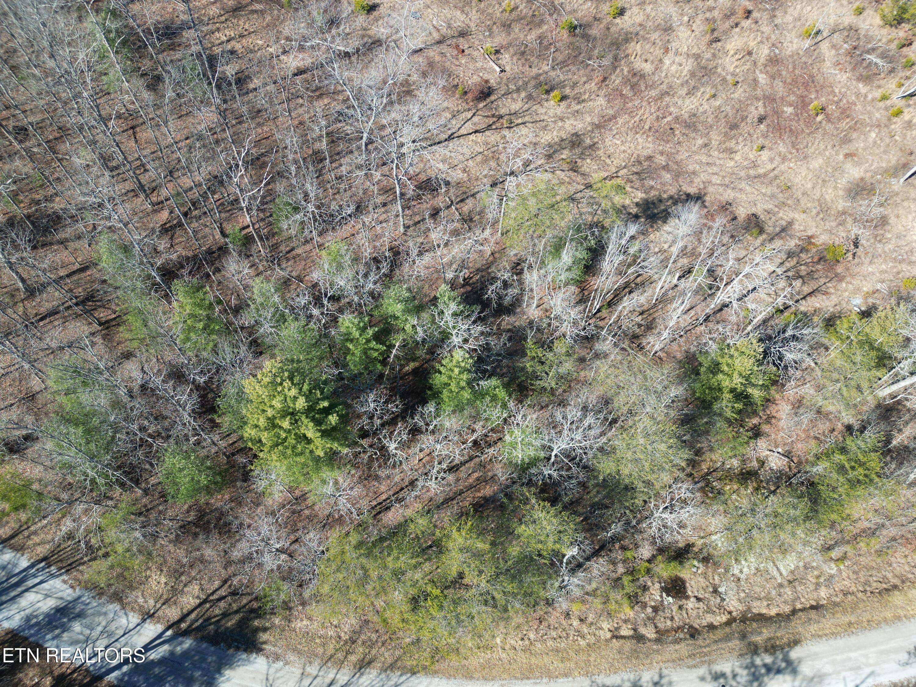Crossville, TN 38572,1022 Chanute Tr