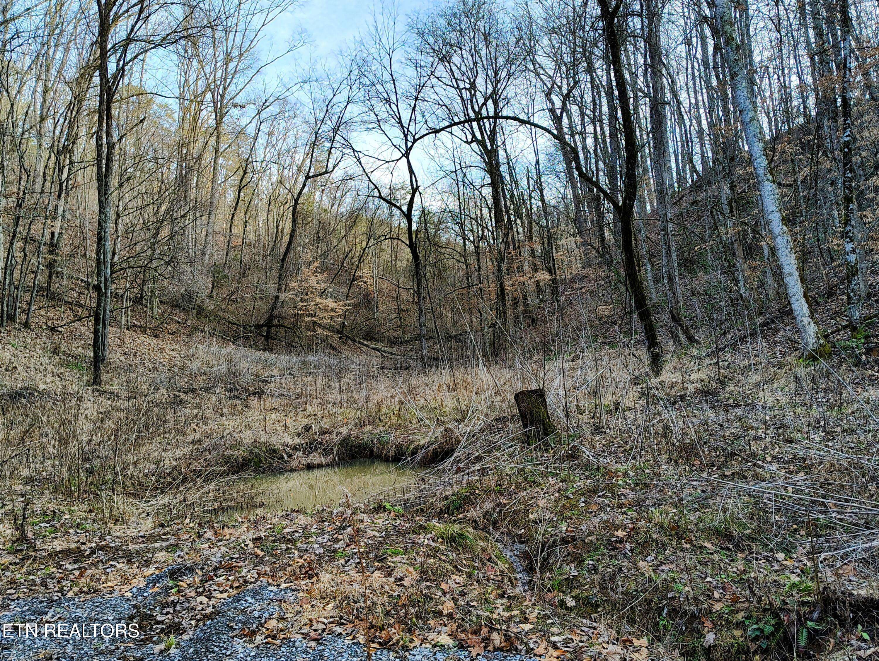 Sevierville, TN 37876,907 Sharp Rd