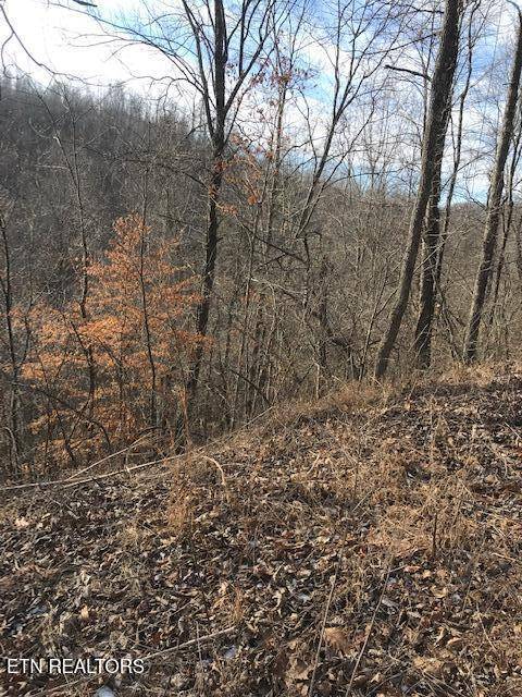 Sunbright, TN 37872,019 007.01 of US RT 27