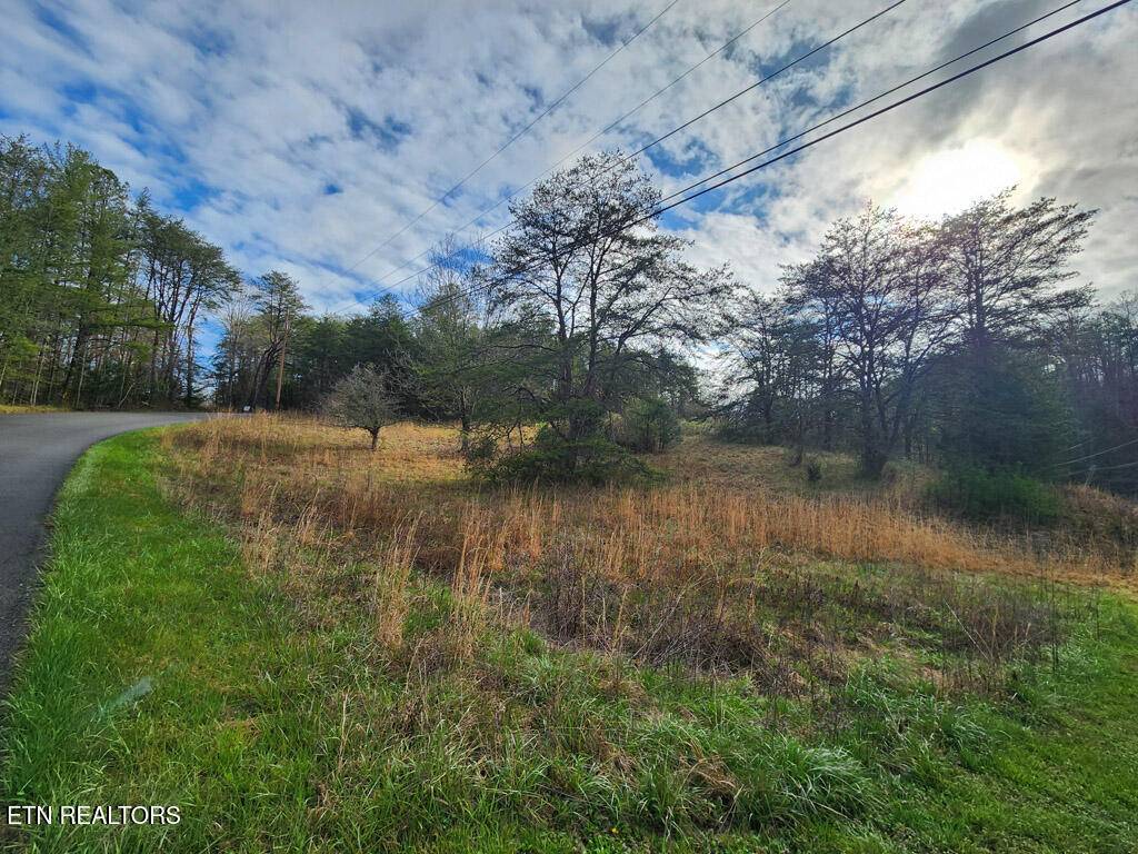 Sevierville, TN 37876,Lot 11 Lum WAY