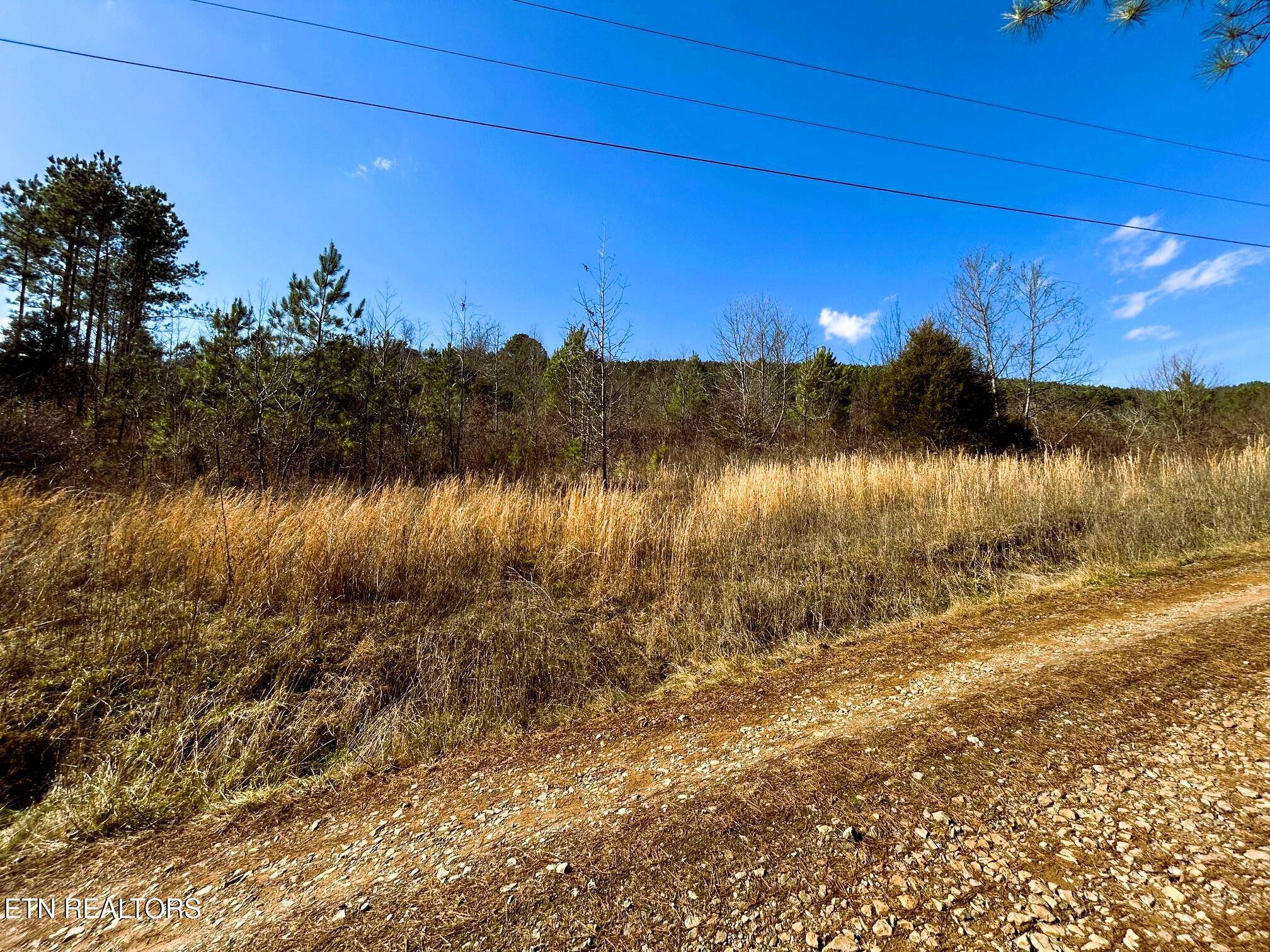 Decatur, TN 37322,00 Cuno Lane