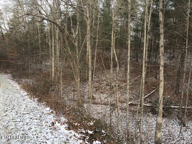 Robbins, TN 37852,109 004 White Oak Creek