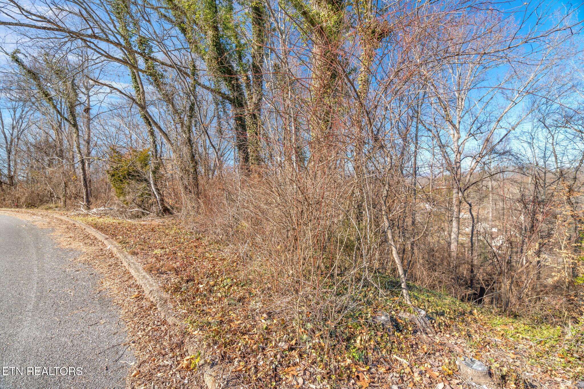 Clinton, TN 37716,Lot 48 Orchard Knob Rd