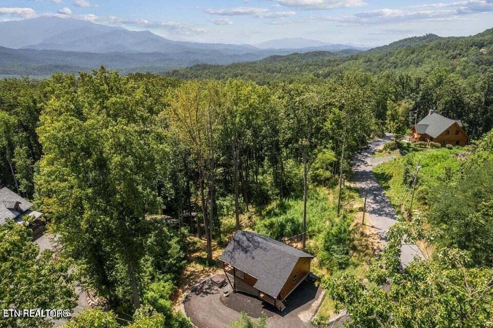 Gatlinburg, TN 37738,844 Pine Top LN