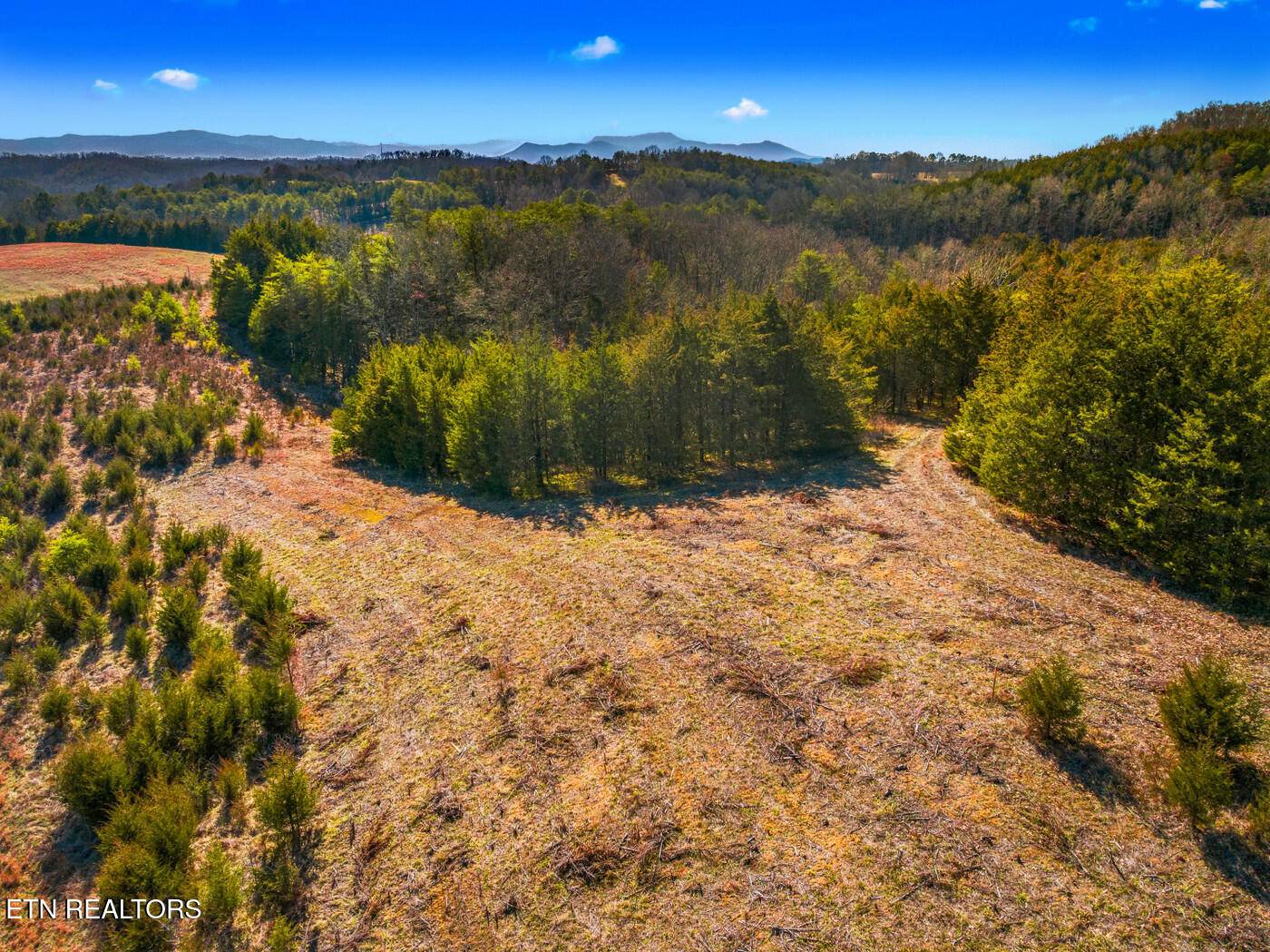 Bybee, TN 37713,LOT 6 Lonesome Pine Rd