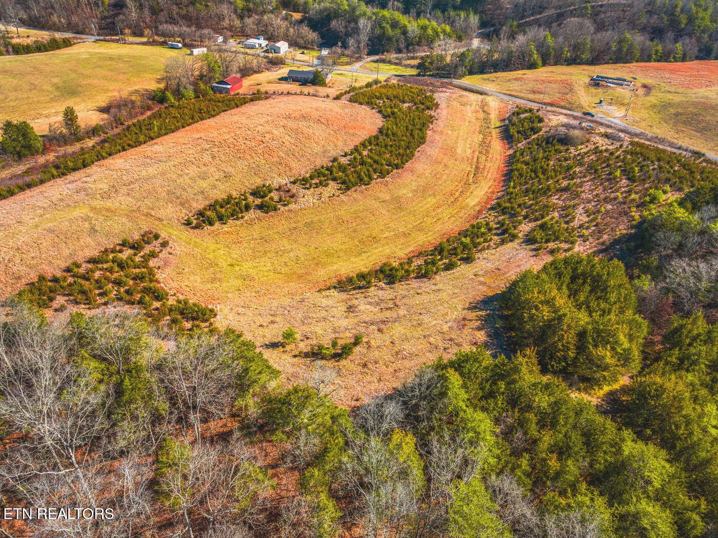 Bybee, TN 37713,LOT 6 Lonesome Pine Rd