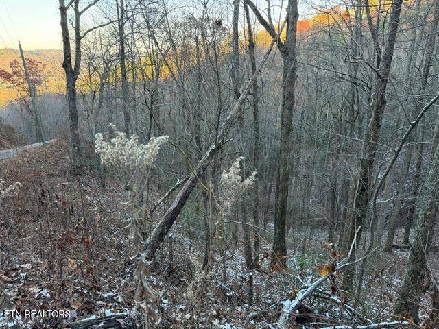 Sevierville, TN 37862,Lot 5 High Ridge WAY