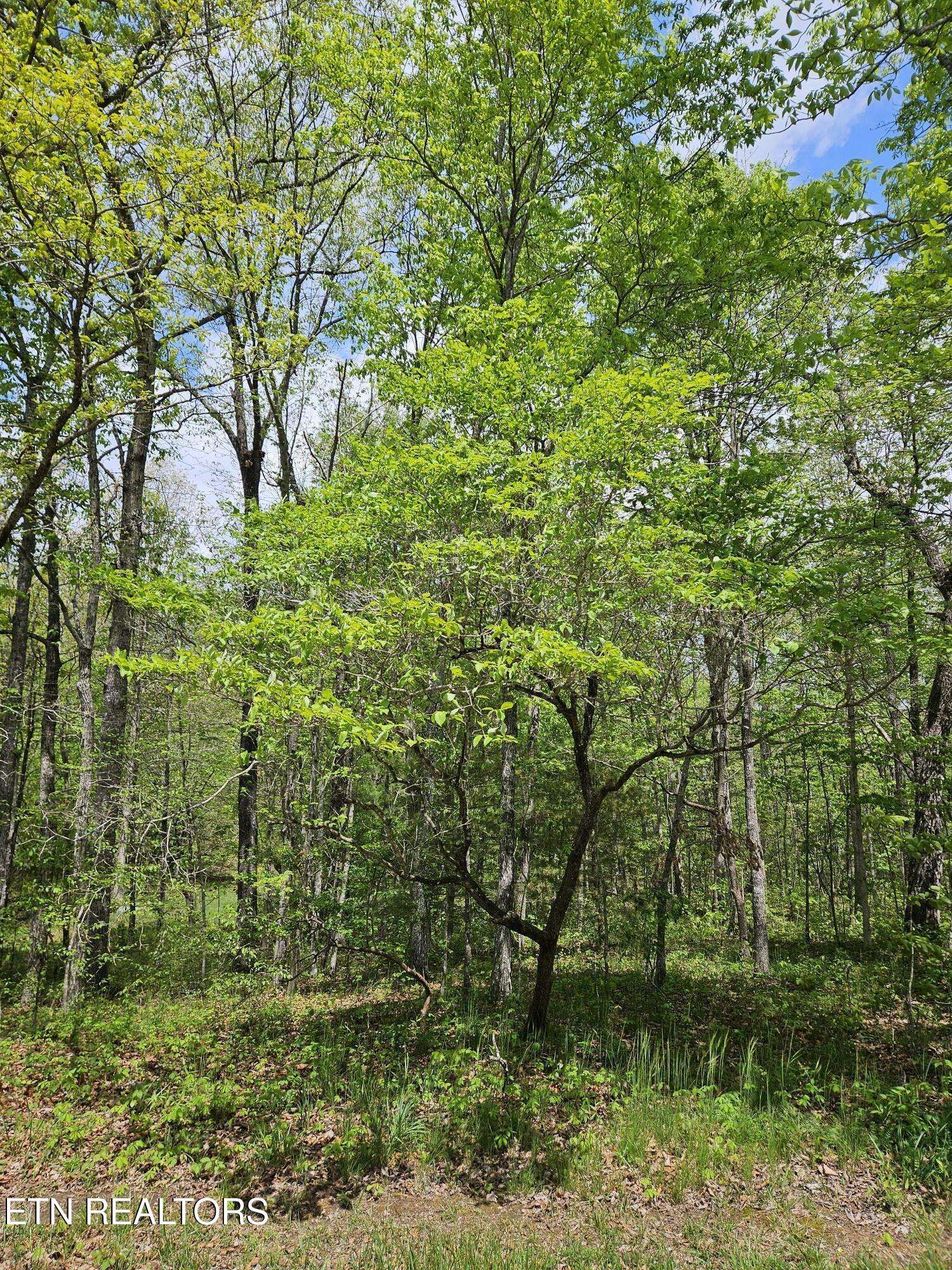 Fairfield Glade, TN 38558,655 Lakeview DR