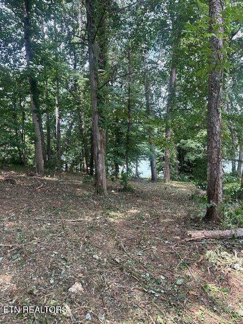 Loudon, TN 37774,317 Inagehi LN