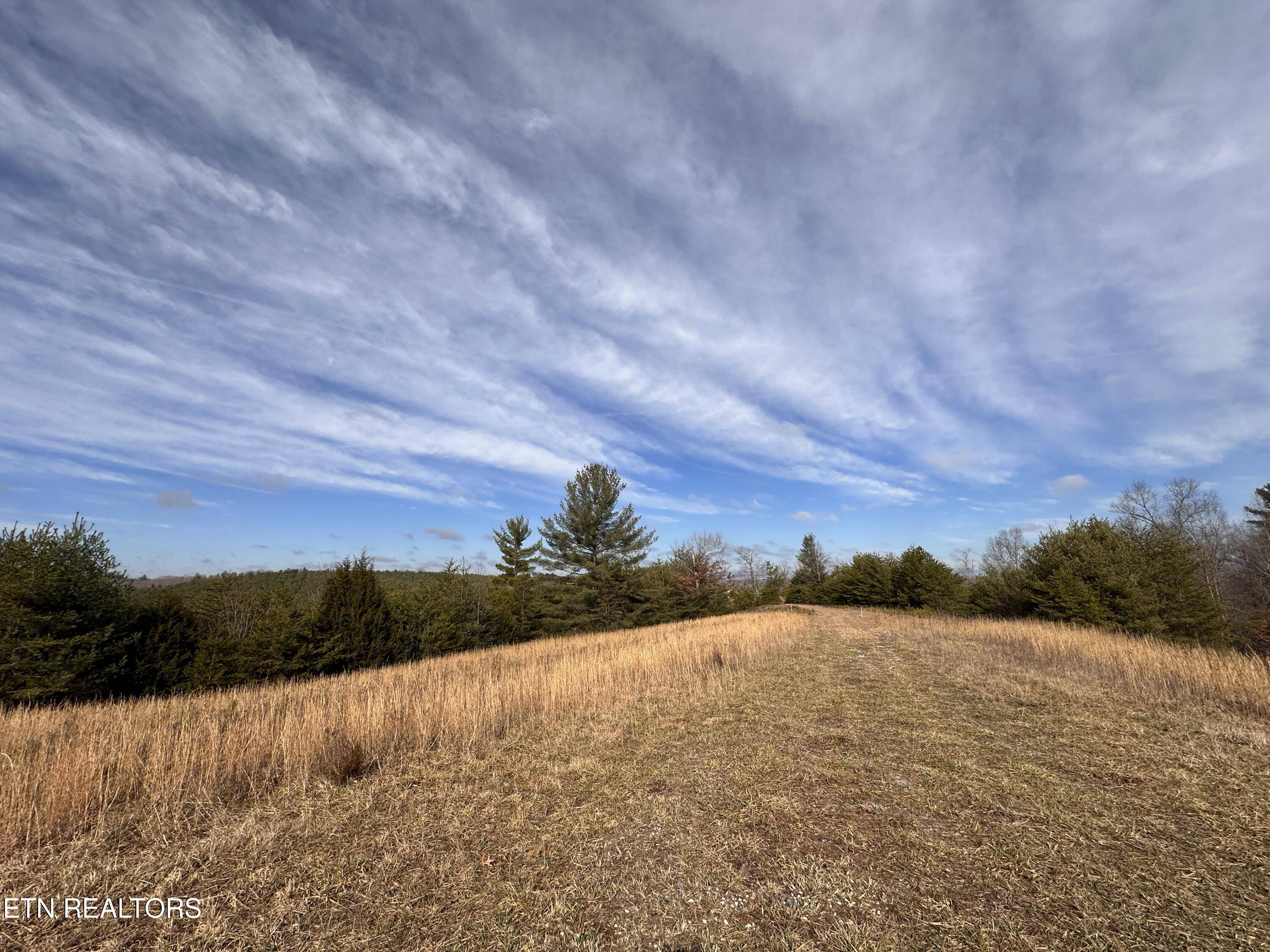 Deer Lodge, TN 37726,6.94ac White Crk