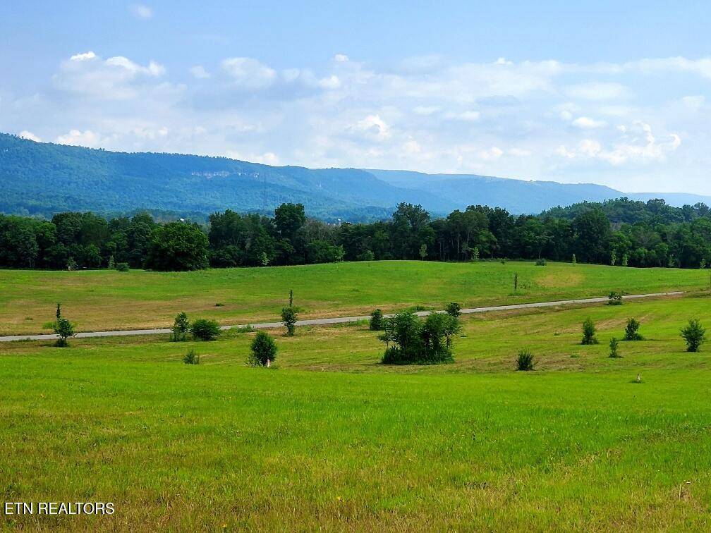 Dunlap, TN 37327,50 River Ridge DR