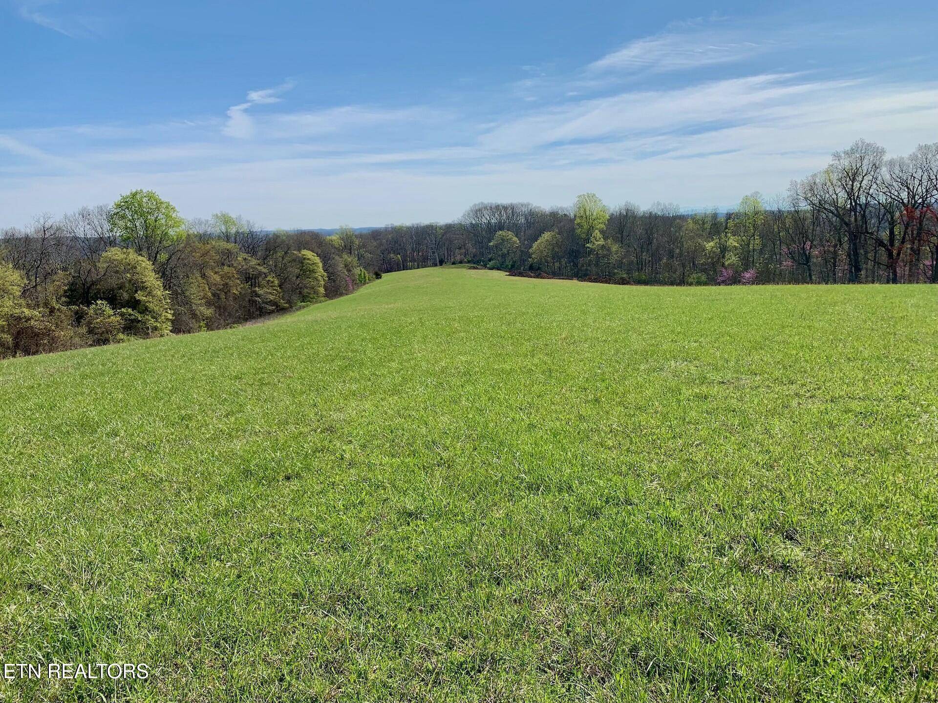 Lenoir City, TN 37771,Somerset Estates | Homesite 1