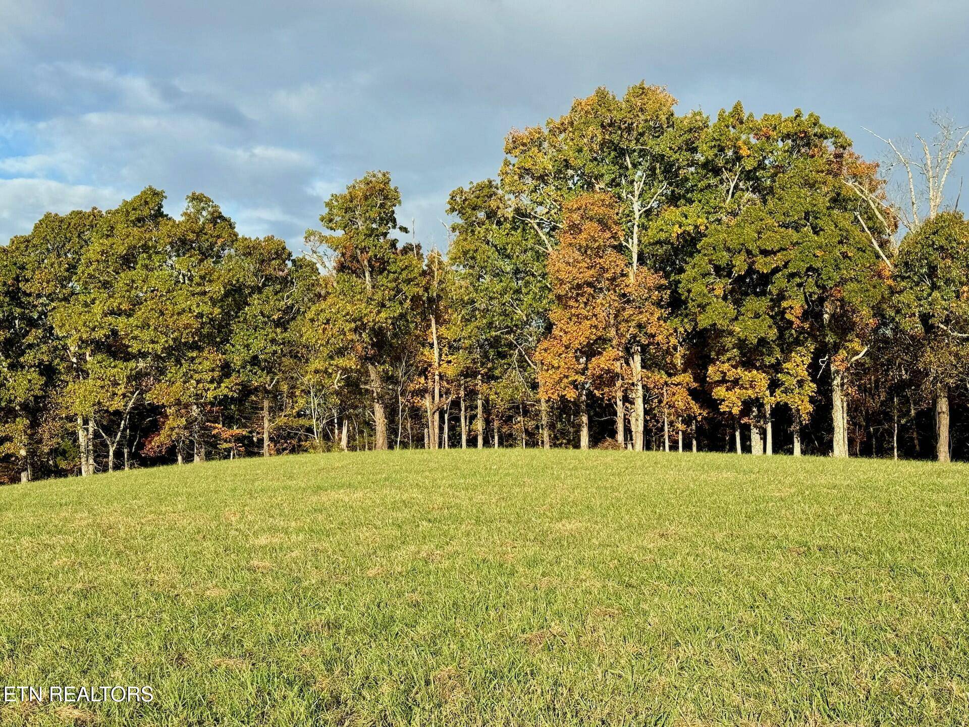 Lenoir City, TN 37771,Somerset Estates | Homesite 1