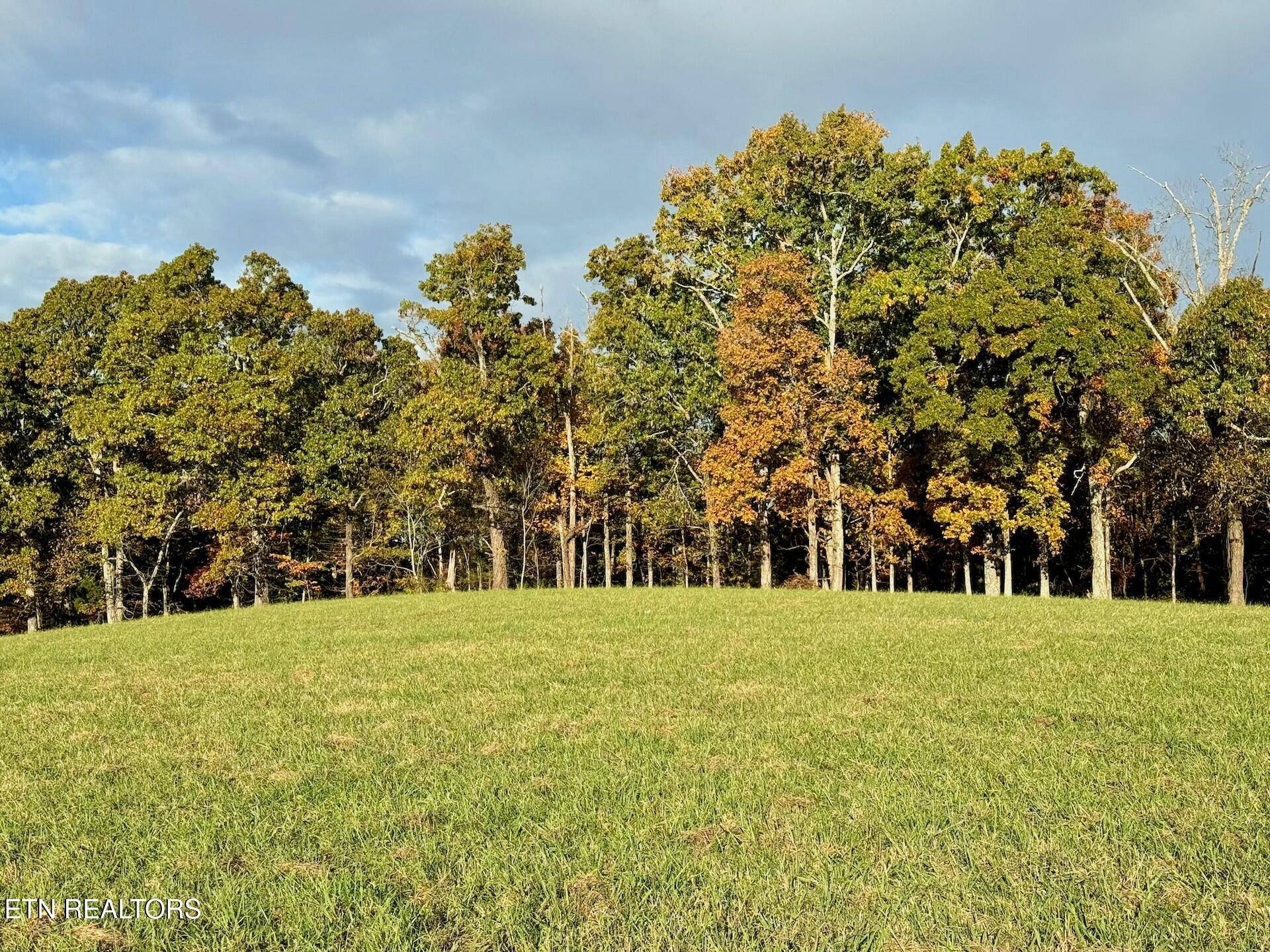 Lenoir City, TN 37771,Somerset Estates | Homesite 3
