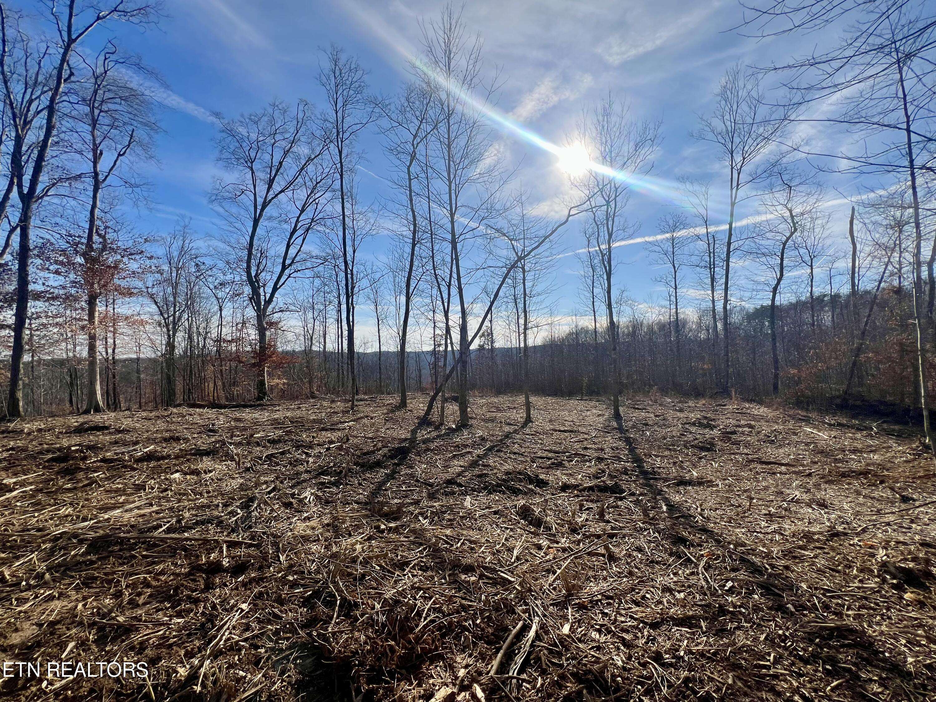 Monroe, TN 38573,6.9ac Tanyard LN