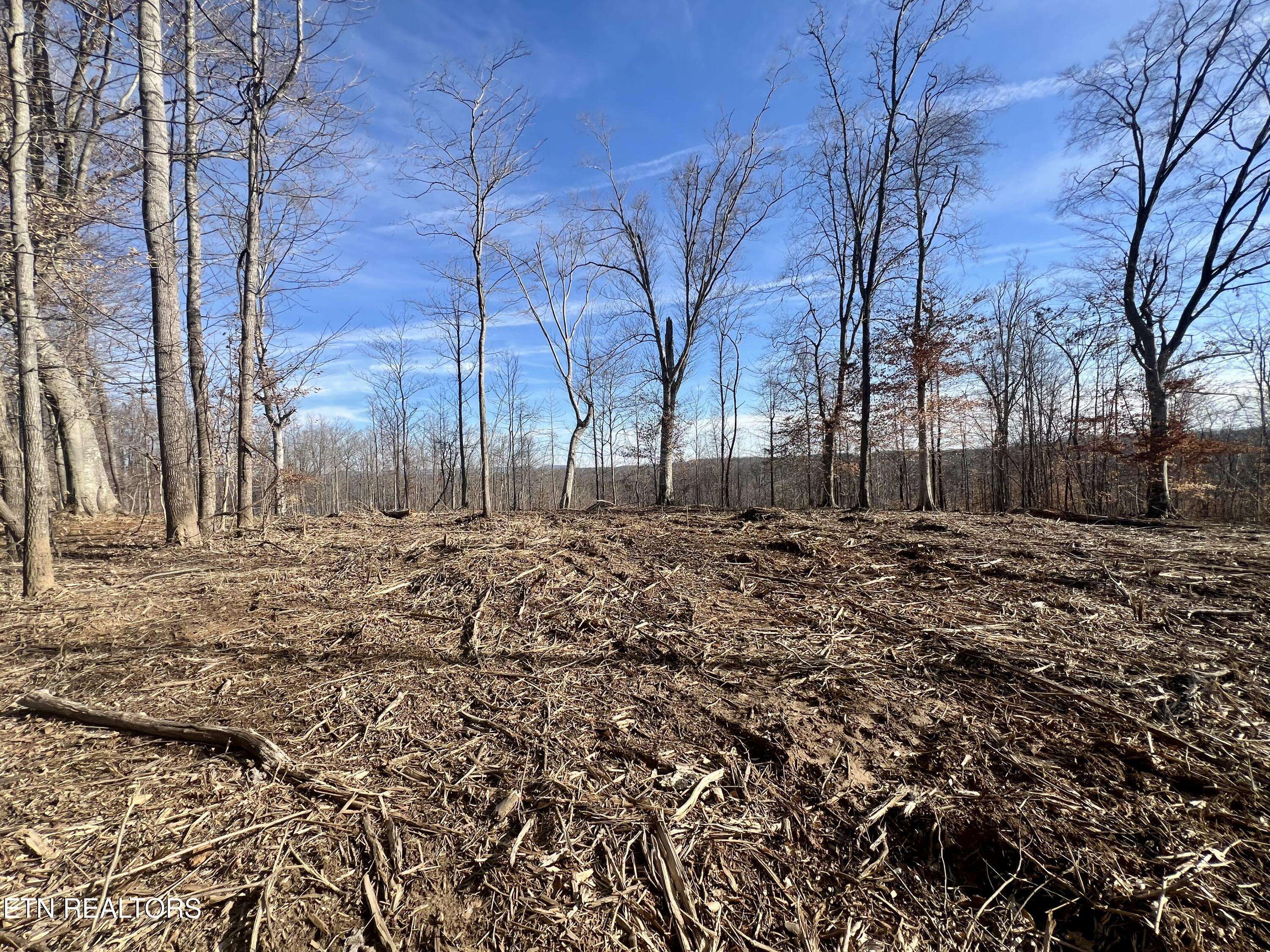 Monroe, TN 38573,6.9ac Tanyard LN