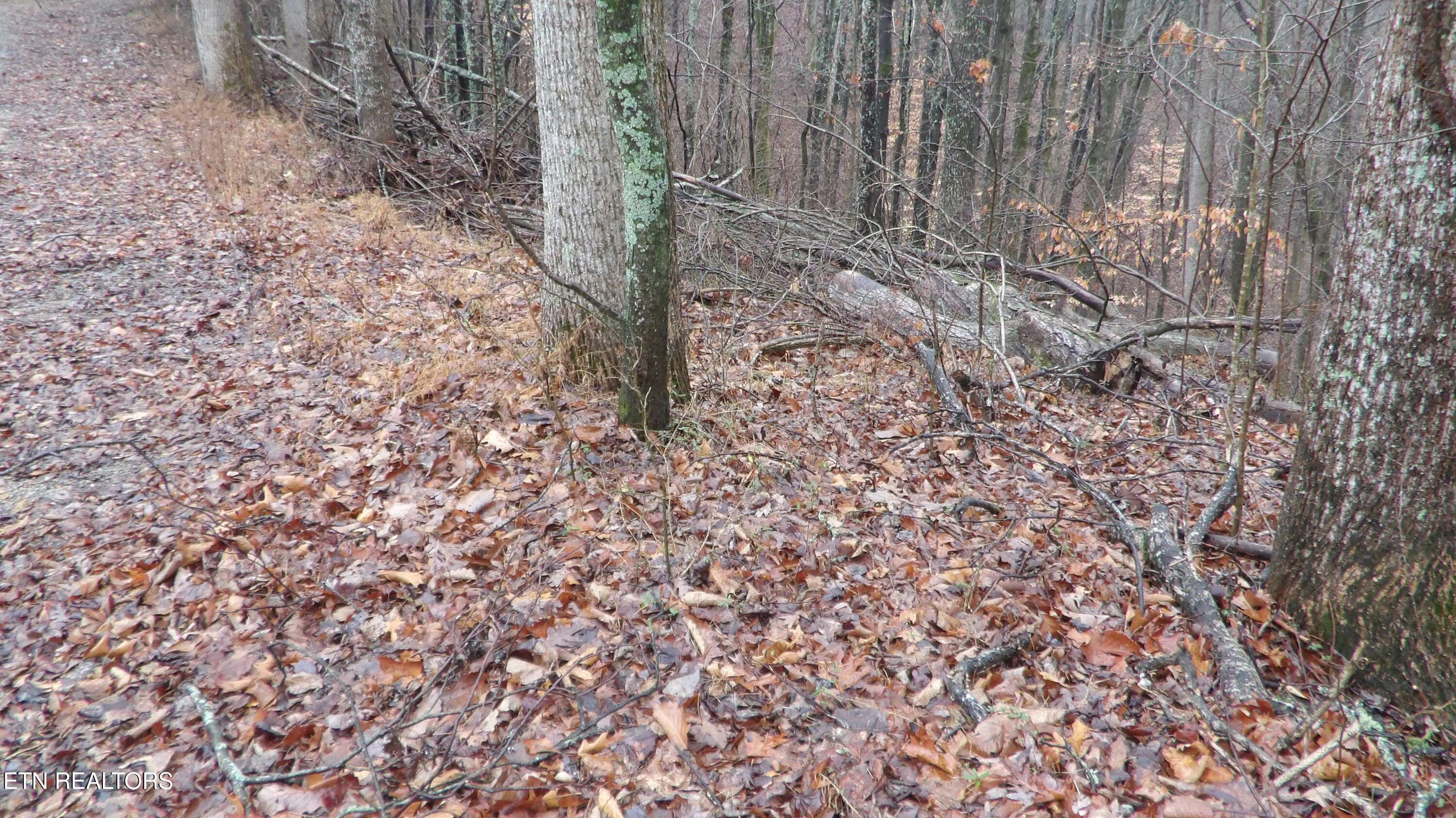 Smithville, TN 37166,Lots 17&18 Savannah
