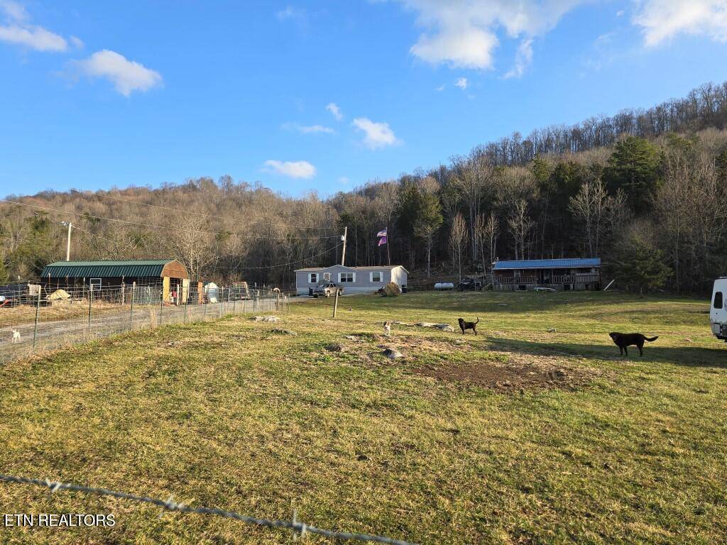 Thorn Hill, TN 37881,4029 PAW PAW Rd