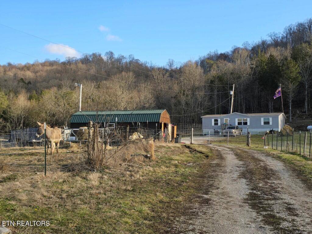 Thorn Hill, TN 37881,4029 PAW PAW Rd