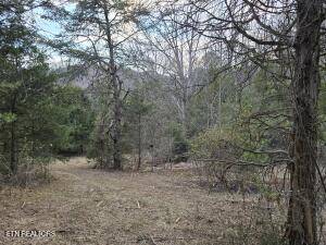 Sneedville, TN 37869,4123 Panther Creek Rd